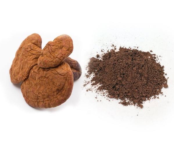 Dried reishi spore powder.jpg